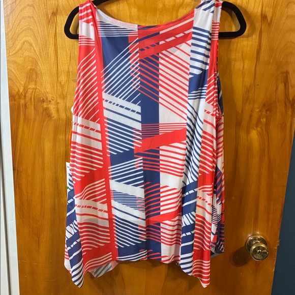 Colorful Blue and Red Striped Sleeveless Top - Picture 7 of 7